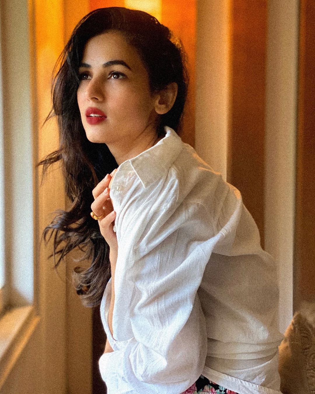 Sonal chauhan 12 hottest pics, sonal chauhan 12 instagram