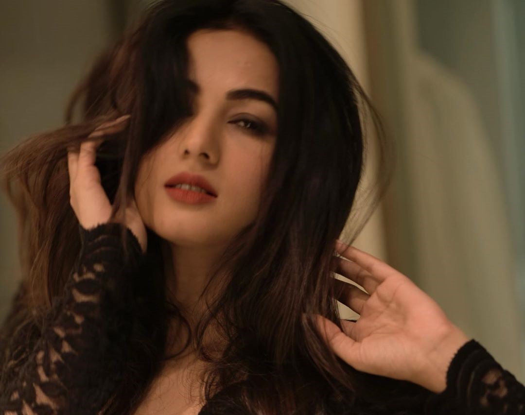 Sonal chauhan 26 hottest pics, sonal chauhan 26 instagram
