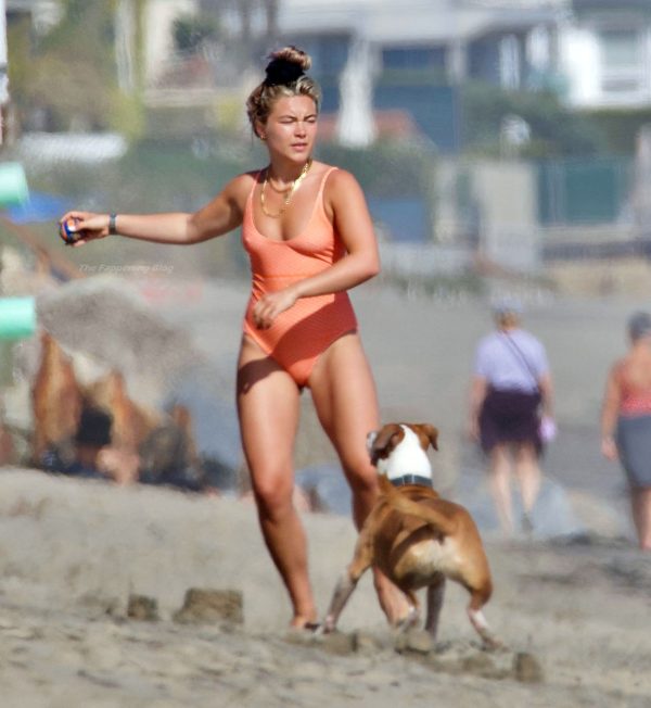 Florence pugh nude, sexy, leaked, hacked, fappening photos 409 hot pics, florence pugh nude, sexy, leaked, hacked, fappening photos 409 bio, florence pugh nude, sexy, leaked, hacked, fappening photos 409 twitter instagram Florence pugh nude, sexy, leaked, hacked, fappening photos 408 hottest pics, florence pugh nude, sexy, leaked, hacked, fappening photos 408 instagram