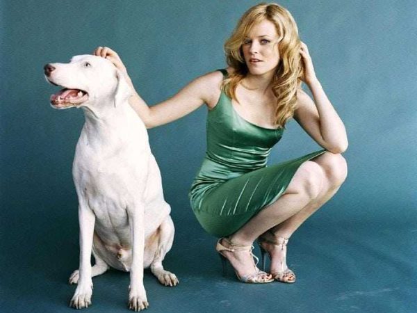 Elizabeth banks nude, sexy, leaked, hacked, fappening photos 121 hot pics, elizabeth banks nude, sexy, leaked, hacked, fappening photos 121 bio, elizabeth banks nude, sexy, leaked, hacked, fappening photos 121 twitter instagram Elizabeth banks nude, sexy, leaked, hacked, fappening photos 120 hottest pics, elizabeth banks nude, sexy, leaked, hacked, fappening photos 120 instagram
